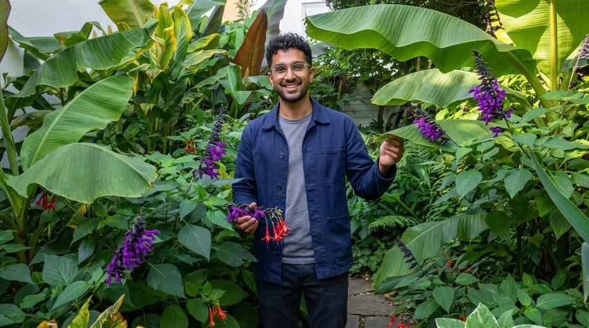 grow tropical plants at home